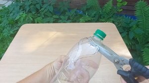 Приспособление для сбора ягод крыжовника из пластиковой бутылки