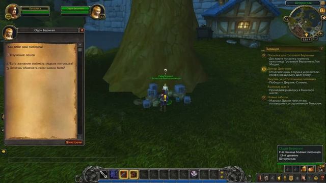 Наставница боевых питомцев Штормград. Одри Бернхеп. Альянс. World of Warcraft смотреть онлайн