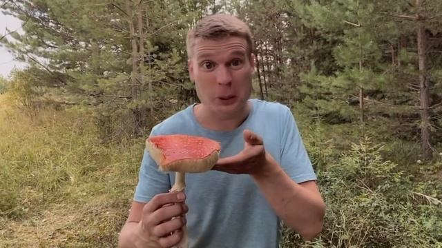 Пацаны и лесные грибочки? смотреть онлайн