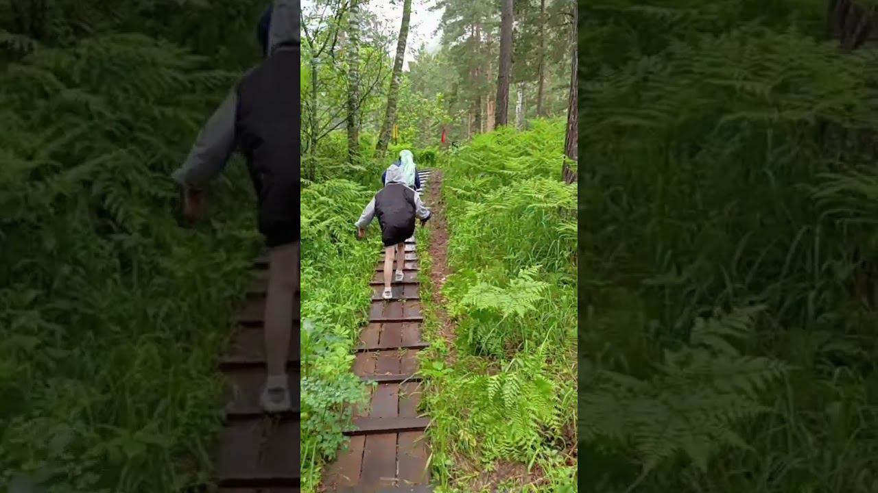 идем на водопад алтай смотреть онлайн