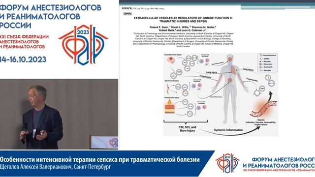 ИТ травма + сепсис Щеголев А.В. смотреть онлайн