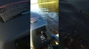 Микатсу 5лс