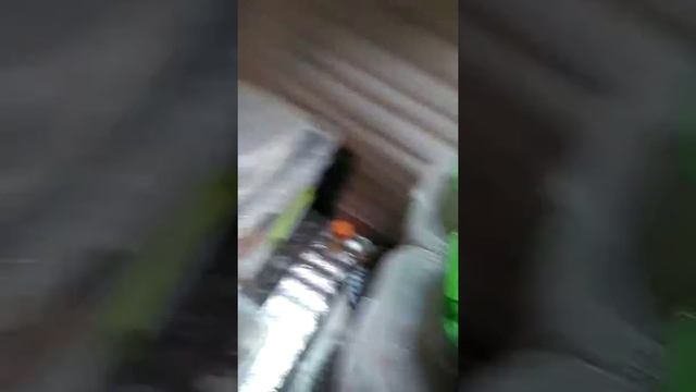 как обустроить дом для улиток ахатин смотреть онлайн