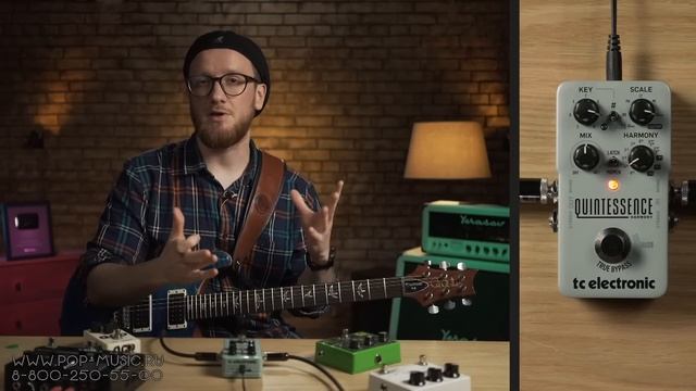 Педаль гармонизации TC Electronic Quintessence смотреть онлайн