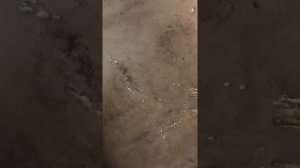 Ремонт полов РЕФ Шмитц(видео 4)