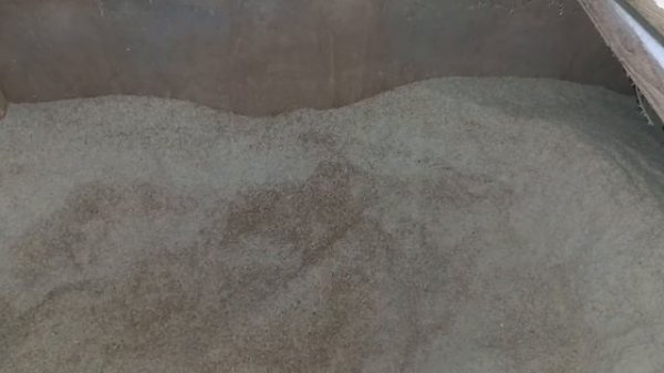 Быки на откорм. Из чего состоит дроблёнка для быков и в каком количестве даём#крс#корм_для_быков