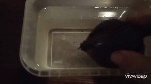 Как восстановить мягкую/увядшую свёклу/Как хранить свёклу чтоб не вяла