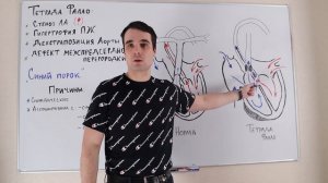 Тетрада Фалло. Гемодинамика. Патогенез одышечно-цианотических приступов