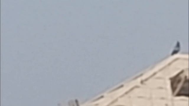 Samsung Galaxy S23 Ultra 100X Zoom Test смотреть онлайн