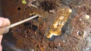 Ремонт днища автомобиля самостоятельно