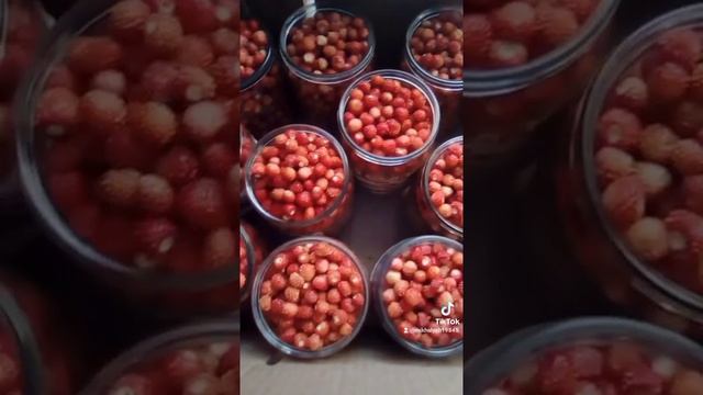 Земляника лесная ароматная,сбор ягод 2021,жизнь в деревне. смотреть онлайн