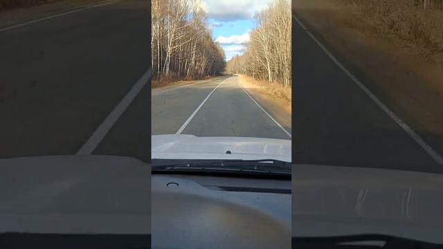 Дорога в горах #дорога #горы смотреть онлайн