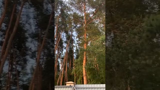 ОТ ВРЕДИТЕЛЯ…ОЧЕНЬ СИЛЬНЫЙ ЗАГОВОР…ДЛЯ ВСЕХ… ★ ВЕДЬМИНА ИЗБА ★ ИНГА ХОСРОЕВА ★ МАГИЯ смотреть онлайн