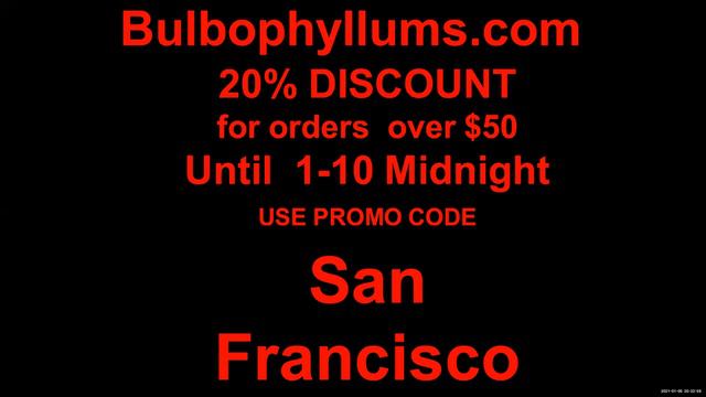 Jan 5, 2021 SFOS Zoom Meeting - Bill Thoms' Bulbophyllum talk смотреть онлайн