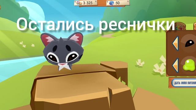 я купила моего нового пета котёнок оцелота ? смотреть онлайн