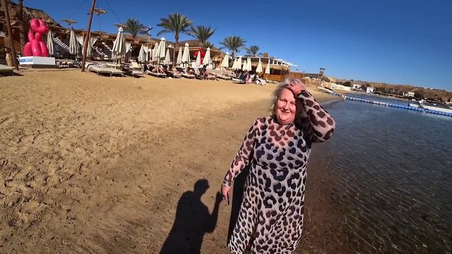 Египет📢Panorama Naama Heights 4* Бухта Наама Бей Бюджетный отель. Сервис Питание Пляж территория смотреть онлайн