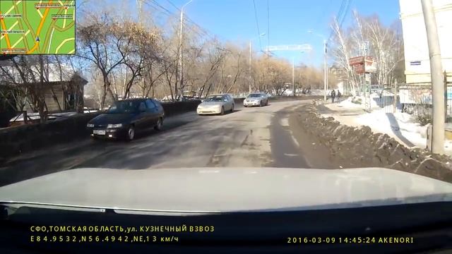 животные на дорогах Томска, смотреть онлайн