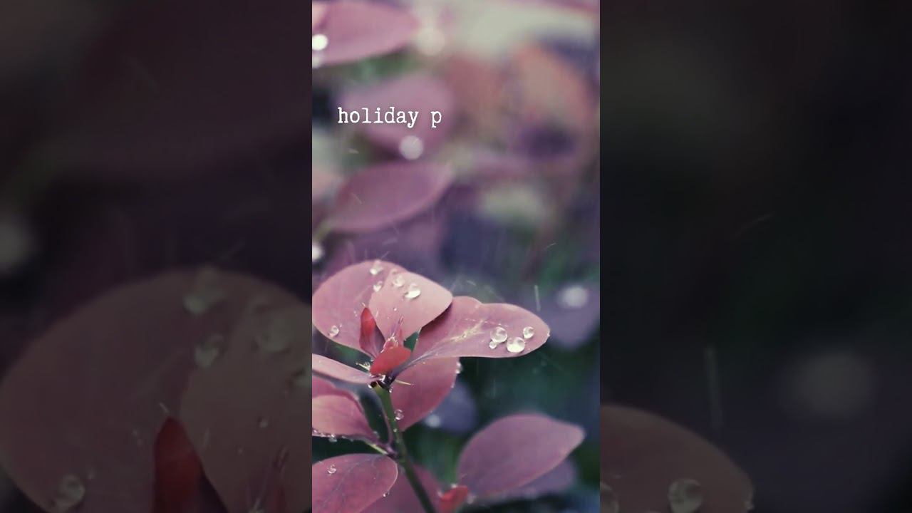 Holiday Plays A Huge Role In Our Lives #shorts #relaxmusic #classicalmusic #sleepmusic #studymusic