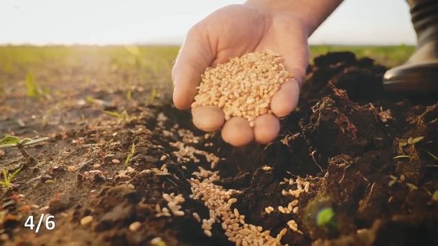 Diese Lebensmittel machen Sie alt (Essen Sie sie nicht) смотреть онлайн