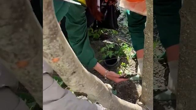 Жилой комплекс "Форум-сити" смотреть онлайн