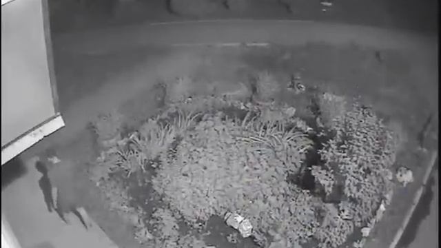 Неизвестный напал на девушку в Бердске смотреть онлайн