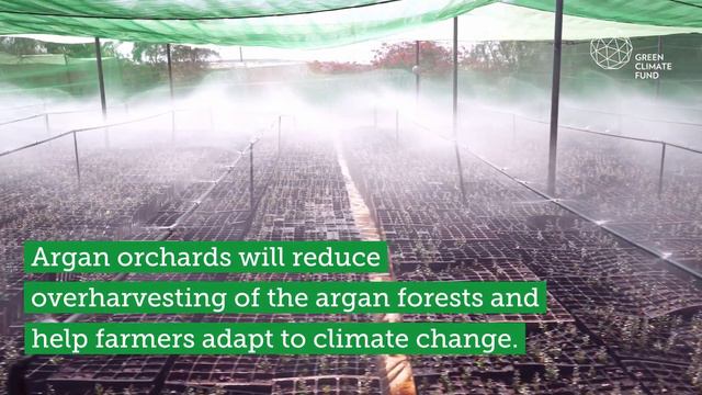 GCF in Morocco: Preserving argan forests through climate-smart farming смотреть онлайн