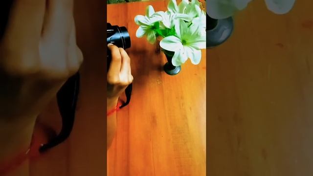 Nikon Camera Photo Test Coopix L820