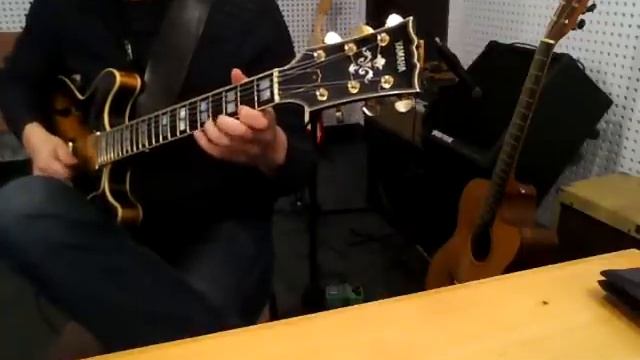 Polytone Mini Brute II with overdrive смотреть онлайн