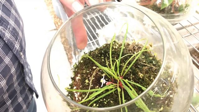 Private BEGONIA Tour — Ep 042 смотреть онлайн