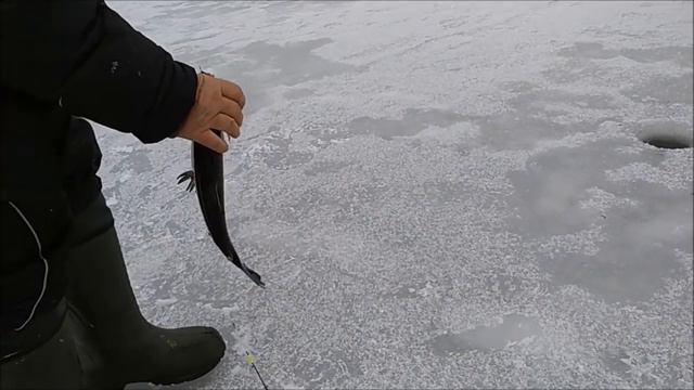 Рыбалка в Подмосковье и Москве(зимняя,летняя) смотреть онлайн
