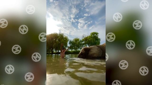 Мужчина Прикрепил Камеру к Змее, и Вот Что Она Сняла смотреть онлайн