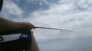 Рыбалка в Абхазии. Ловля ставриды на море с берега. Часть первая