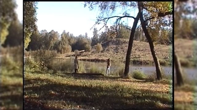 Затроллили САМУЮ ЗЛУЮ мошенницу!