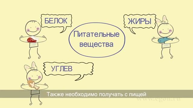 Урок здоровья. Белок,жиры,углеводы,питательные вещества. Самое интересное о здоровье. смотреть онлайн