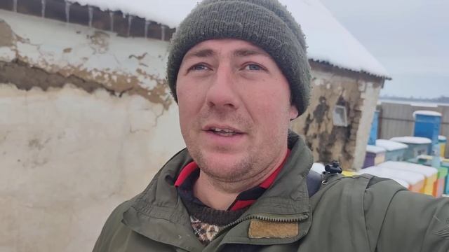 КАКИЕ СЕМЬИ НУЖНО УТЕПЛЯТЬ КАК УТЕПЛИТЬ ПЧЁЛ В ЛЕЖАКЕ основные признаки для утепления пчёл ✅☝️?