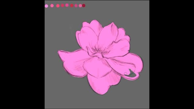 Рисунок розы в Adobe Photoshop с применением акварельных кистей #Shorts смотреть онлайн