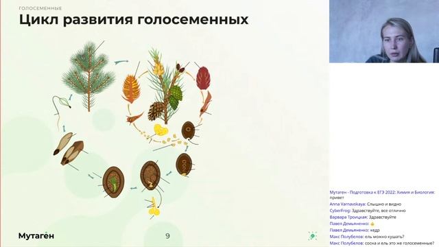 Летний курс "Мутаген" подготовки к ЕГЭ-2023 по биологии|Голосеменные. Решаем задания в формате ЕГЭ смотреть онлайн