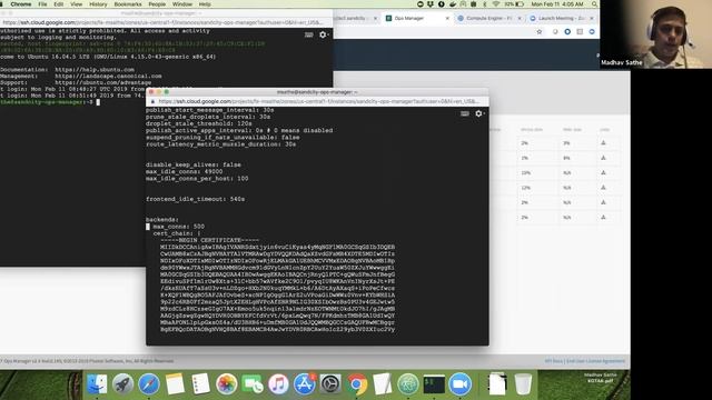 PCF app routing security deep dive - part 4 - platform mTLS verification demo смотреть онлайн