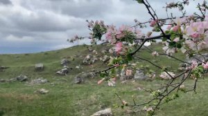 Село Куркли, Лакский район.