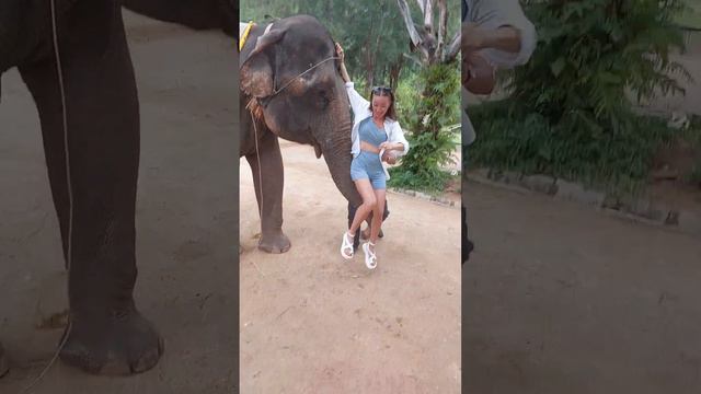 Мама катается на шланге 🇻🇳 #вьетнам смотреть онлайн