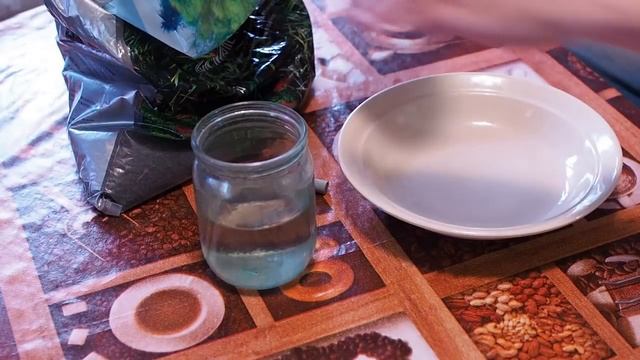 Запуск аквариума на грунте Флоратон и подложке Tropica Plant Growth Substrate