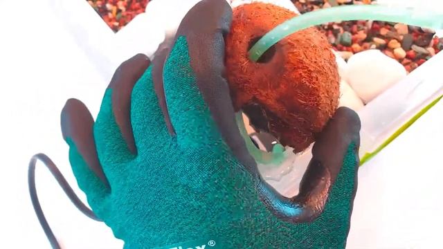 КОКОСОВЫЙ ФОНТАН своими руками смотреть онлайн