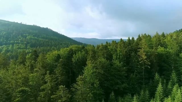 Тыва горловое пение смотреть онлайн