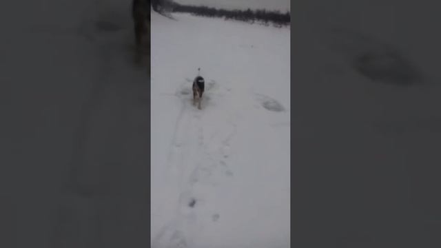 Рыбалка на жерлицы ч.1 смотреть онлайн