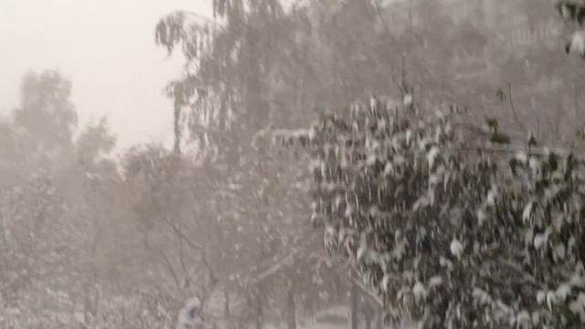 Сильный снегопад в Новосибирске 21.10.16год. heavy snow. смотреть интересное видео. смотреть онлайн