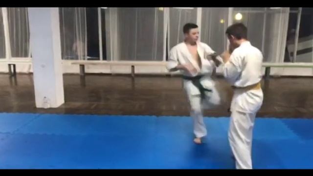 Летний Лагерь ASHIHARA KYOKAI на черном море Шепси-2018 смотреть онлайн