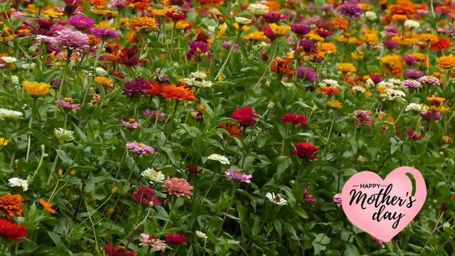 Happy Mother's Day 2023 Music - 1 Hour Happy & Upbeat Mothers Day Music #MothersDay #Holiday #Mom