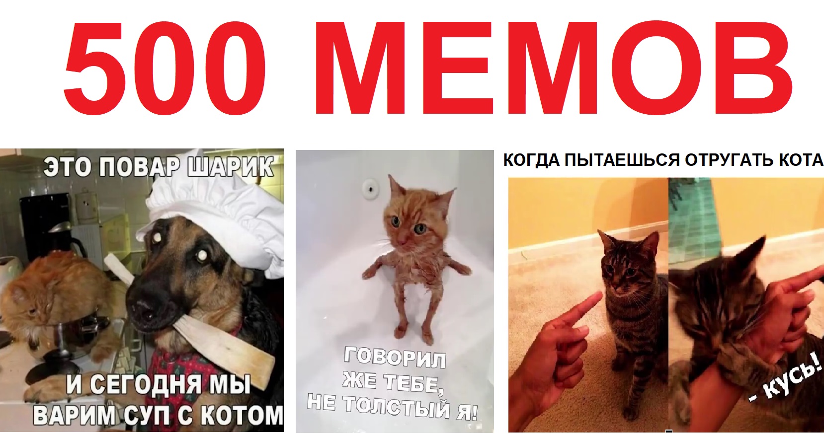 500 МЕМОВ. Когда пытаешься отругать КОТА... смотреть онлайн