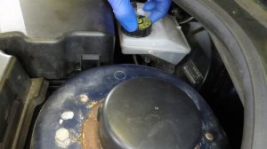 How to Check the fluid levels on a Peugeot 206 2002 to 2009