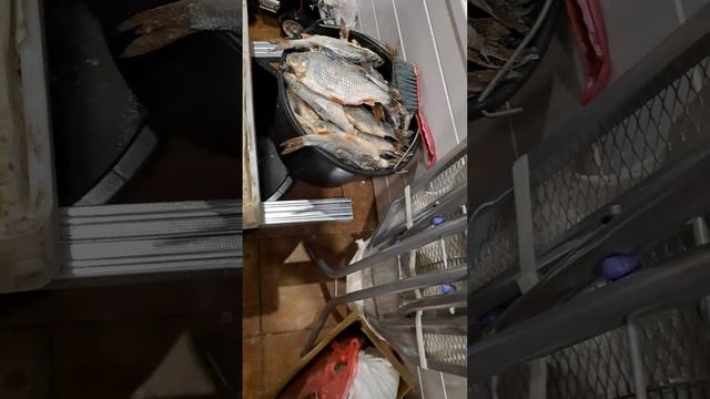 Засолка рыбы и икры в домашних условиях